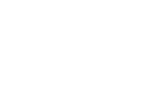 Webspring.lt